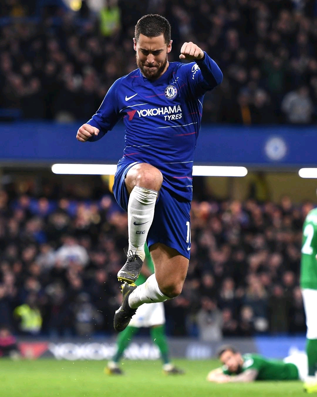 法系体系经 法系体系经