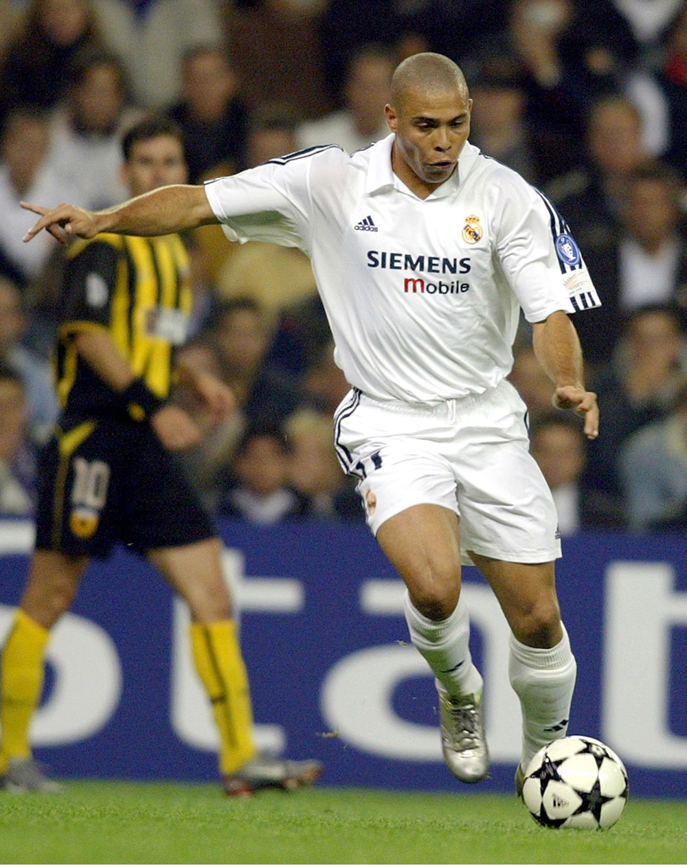 注额不随情 注额不随情